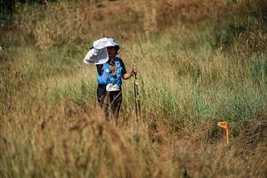 BIB: 
                            <button type="button" onclick="openModal(26056036)" class="btn btn-primary btn-sm float-right btn-popup" data-toggle="modal" data-target=".modal-high-quality">
                        <i class="fas fa-shopping-cart"></i> Add to Cart
                    </button>
                                            <button type="button" onclick="isThisMe(26056036, true)" class="btn btn-success btn-sm float-right btn-popup btn-isme hidden" data-toggle="tooltip" data-placement="bottom" title="นี่คือรูปของคุณใช่ไหม คลิกที่นี่เพื่อเอาเข้าอัลบั้ม">
                        <i class="fas fa-plus"></i> Add to album
                    </button>
                    <button type="button" onclick="isThisMe(26056036, false)" class="btn btn-warning btn-sm float-right btn-popup btn-isnotme hidden">
                        <i class="fas fa-ban"></i> Remove from album
                    </button>